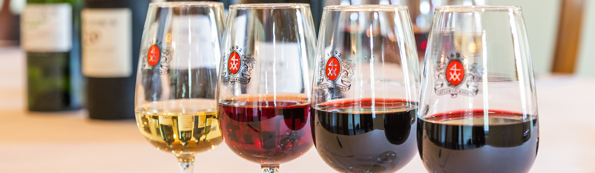 Entre Vinhas e Barricas: Celebrando o Vinho do Porto