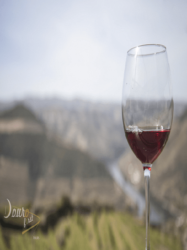 Douro Premium