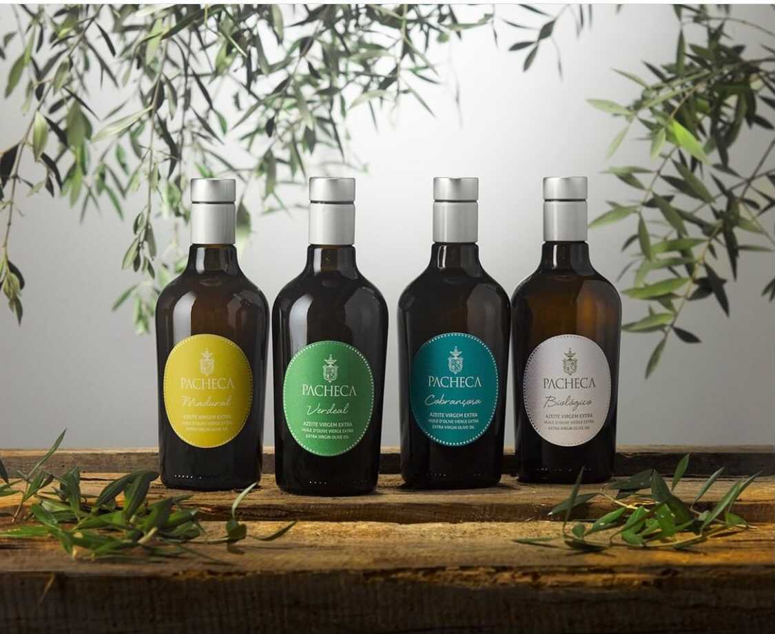 Quinta da Pacheca announces the launch of four new olive oils