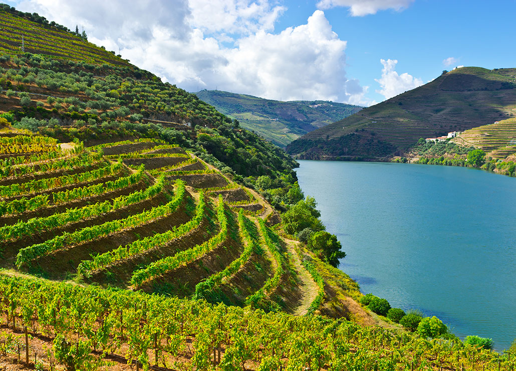 Douro wins European Wine City 2023