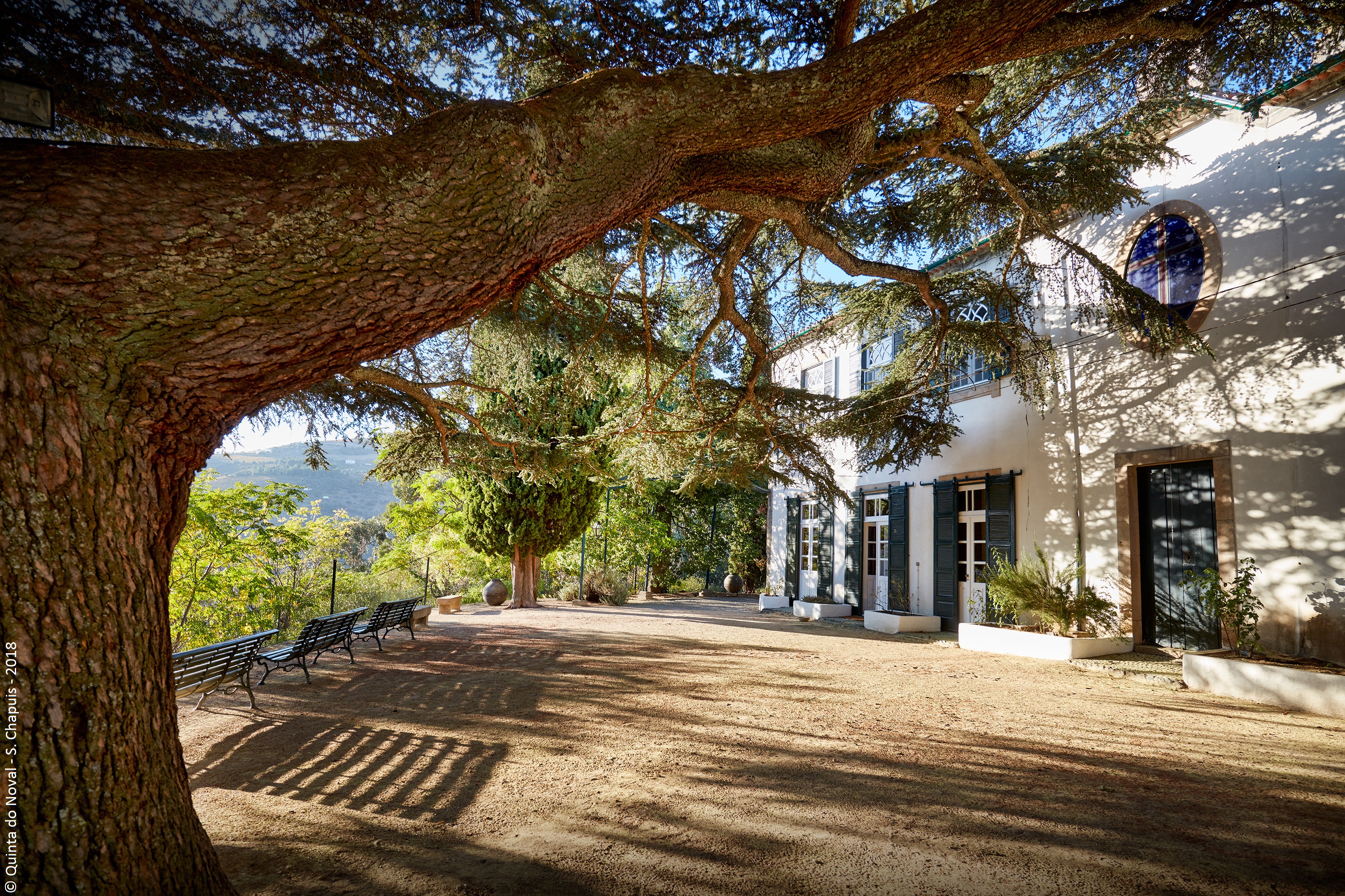Quinta do Noval