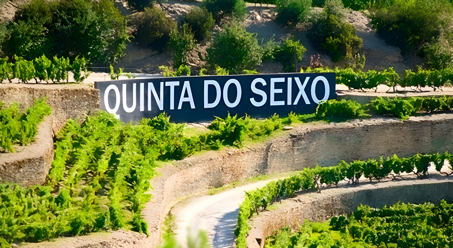 Quinta do Seixo: A special invitation to the Harvest